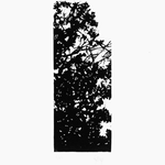 linogravure, matrice 27 x12 cm, tirage 45 x 32 cm