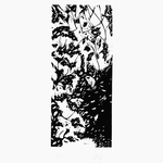 linogravure, matrice 27 x12 cm, tirage 45 x 32 cm