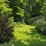 Sauna im Naturgarten