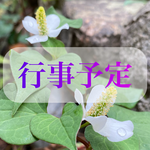 西方山極楽寺　極楽寺　岐阜　岐阜県　岐阜市　お寺
