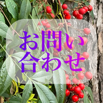 西方山極楽寺　極楽寺　岐阜　岐阜県　岐阜市　お寺