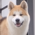 Kyubi