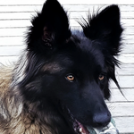Xena 30090226