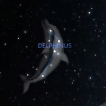 Sternbild Delphin