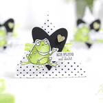 Frosch Boxen Verpackungen