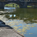 Florence entre couleurs et saveurs