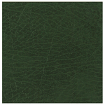 Copertina n. V33