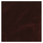 Copertina n. V147