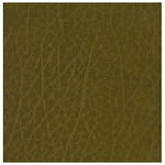 Copertina n. V36