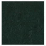 Copertina n. V114
