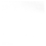 Copertina n. V56