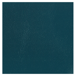 Copertina n. V55