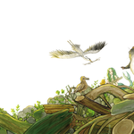 Illustration aus "Der Zauberschüler - Im Bann des Seeungeheuers", Loewe Verlag, siehe Kinderbücher