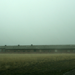 Section 8, Casper Army Air Base, 2009