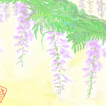 80553【藤の花】 ゆふーち