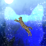 1450：無限の星空と猫：yukari