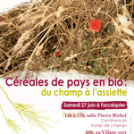 Céréales de pays en bio. Parc naturel régional du Luberon