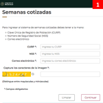 Introduce los datos que se solicitan, CURP, Número de Seguridad Social, y Captcha