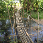 Zugang zu einem Reisfeld im Irrawaddy Delta. / Access bridge to a rice field in the Irrawaddy delta.