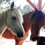 Nelly und Luke - unser tolles Mutter-Sohn-Gespann!
