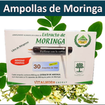 Moringa en ampollas