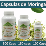 Moringa en capsulas (100 - 150 - 500)