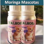 Moringa para Mascotas