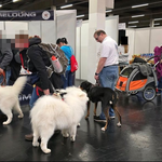 An der Anmeldung erste Kontaktaufnahme mit den anderen Hunden