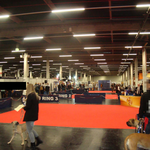 Die Halle 3 der Messe Nürnberg war für Hund und Katz reserviert