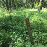 [11] Nördlichster Grenzpunkt, N 48.360 | O 16.273