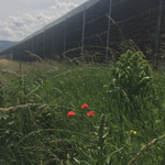 [5] An den Mühlen, N 48.314 | O 16.346