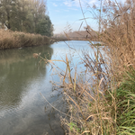 [9] Am Krumpenwasser, N 48.352 | O 16.294