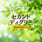 西洋式臼井レイキ～セカンド～