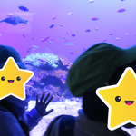 鳥羽水族館　令和7年度