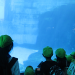 名古屋港水族館遠足　令和7年度