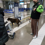 Panagiotis mit seiner Hündin vor dem letzten VET Check am Flughafen