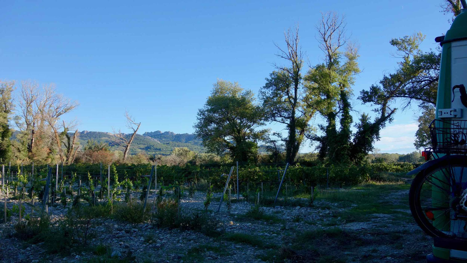 VaisonlaRomaine Sehenswürdigkeiten, Markt, Camping Tipps