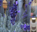 Naturkosmetik-Kurs, selber herstellen, Tageskurs, FuchsundHase im Emmental