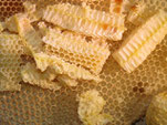 Echtes Harzer Bienenwachs