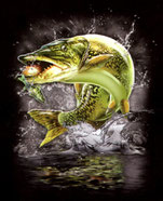 jeune pêcheur de broc