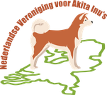 四国犬 Shikoku, dutch shikoku breeder