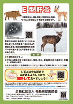 E型肝炎のポスター