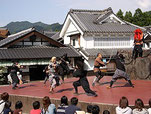 EDOMURA