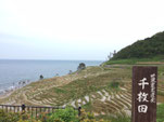 1,000 Rice Field - Ishikawa Prefecture - Car Hire Japan