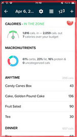 food logging