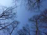 März-Himmel in München   Foto: Heidrun Langer