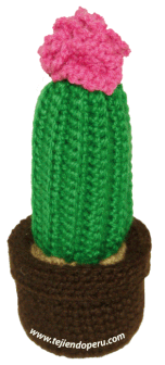 Tutorial: cactus con flor tejida a crochet (amigurumi cactus)