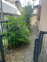 八王子市で剪定する植木屋「纏造園」
