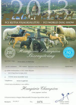 Bild anklicken um zu vergrößern 