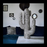 Cactus Pop'Art